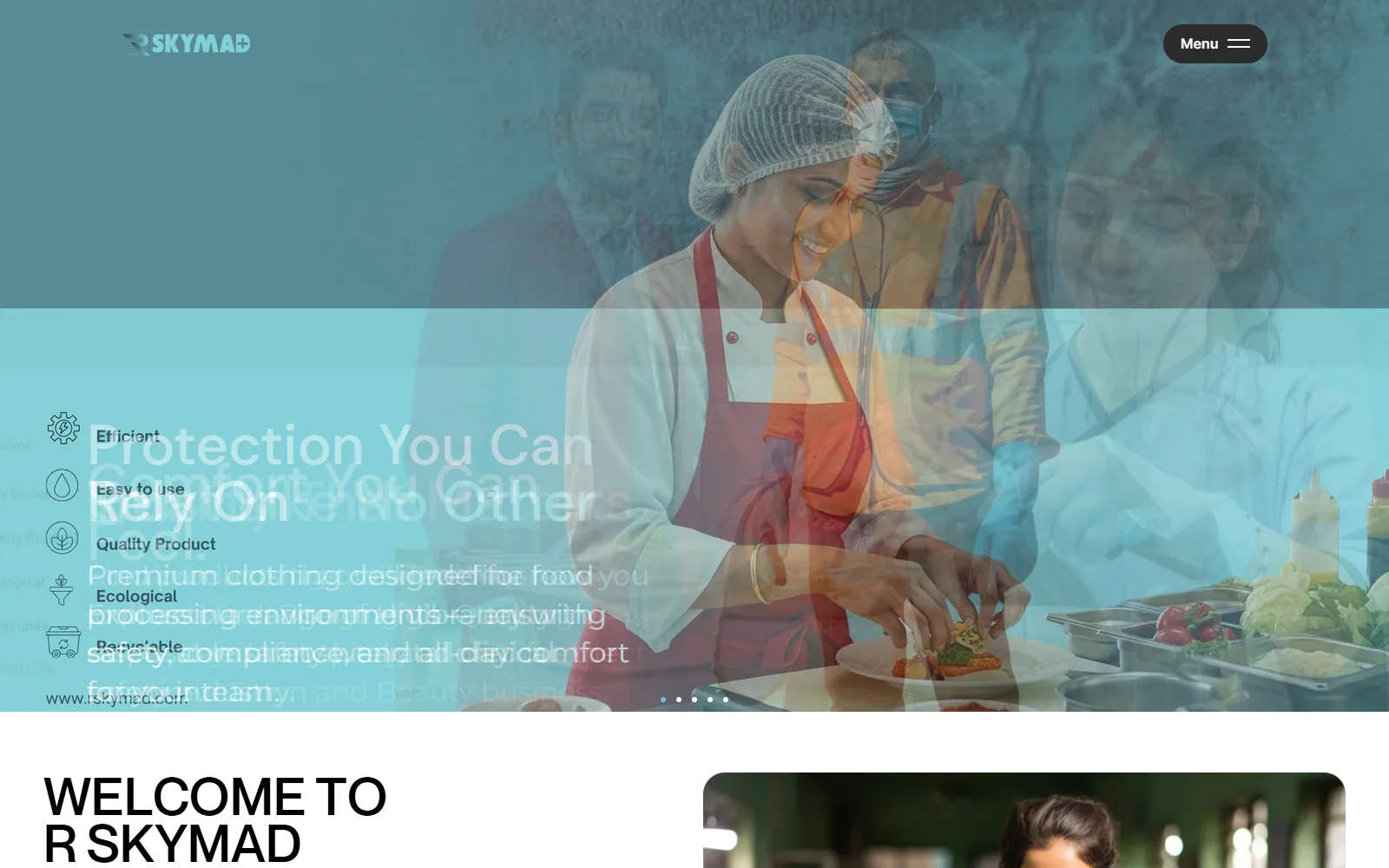 R Sky Mad website built by Innovative (ISD)